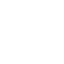 icon-0